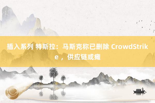 插入系列 特斯拉：马斯克称已删除 CrowdStrike ，供应链或瘫