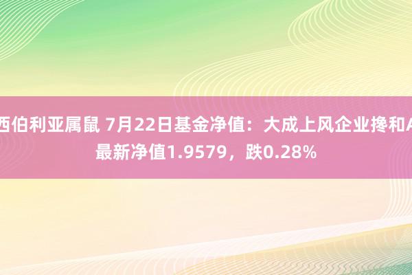 西伯利亚属鼠 7月22日基金净值：大成上风企业搀和A最新净值1.9579，跌0.28%