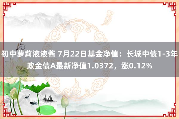 初中萝莉液液酱 7月22日基金净值：长城中债1-3年政金债A最新净值1.0372，涨0.12%