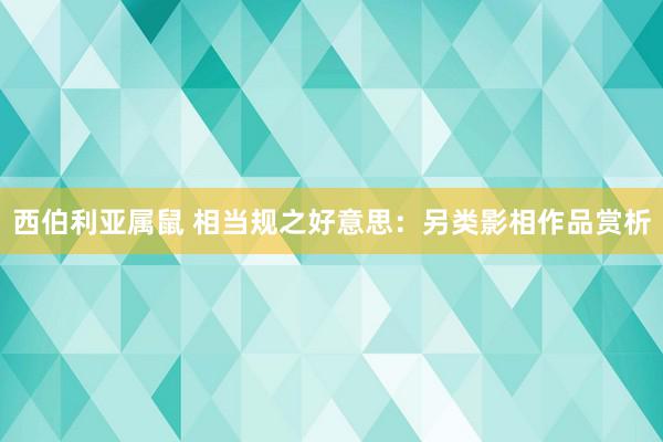 西伯利亚属鼠 相当规之好意思：另类影相作品赏析