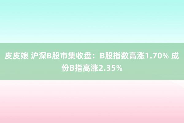 皮皮娘 沪深B股市集收盘：B股指数高涨1.70% 成份B指高涨2.35%