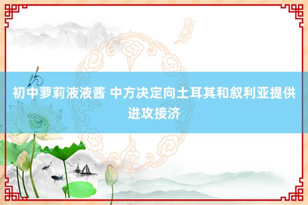 初中萝莉液液酱 中方决定向土耳其和叙利亚提供进攻接济