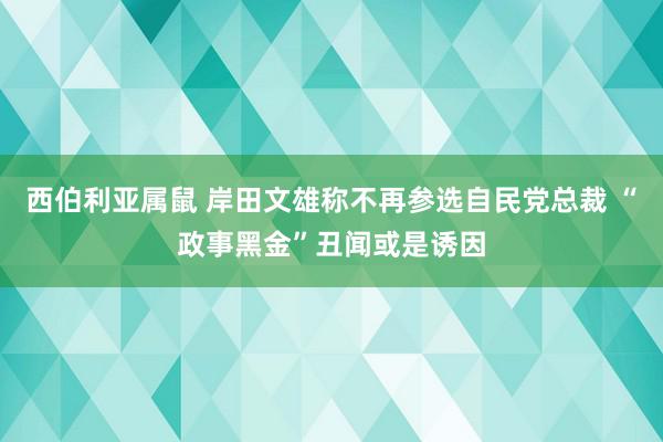 西伯利亚属鼠 岸田文雄称不再参选自民党总裁 “政事黑金”丑闻或是诱因