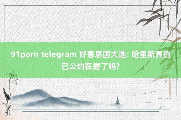 91porn telegram 好意思国大选: 哈里斯真的已公约在握了吗?