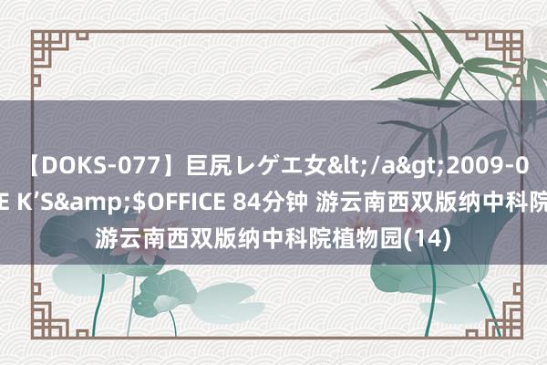 【DOKS-077】巨尻レゲエ女</a>2009-05-01OFFICE K’S&$OFFICE 84分钟 游云南西双版纳中科院植物园(14)