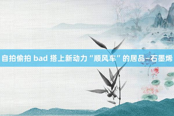 自拍偷拍 bad 搭上新动力“顺风车”的居品—石墨烯