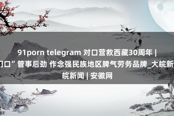 91porn telegram 对口营救西藏30周年 | 挖掘“家门口”管事后劲 作念强民族地区脾气劳务品牌_大皖新闻 | 安徽网